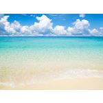 wandmotiv24 Carta da parati Sole, mare e spiaggia
