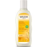 WELEDA Avena Shampoo Ristrutturante 190 ml Shampoo