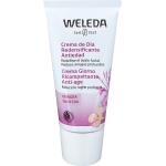 Creme 30 ml viso Bio naturali cruelty free per pelle matura anti-età con olio di semi da giorno per viso per Donna Weleda 