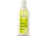 WELEDA Shampoo Trattante Miglio 190 ml Shampoo