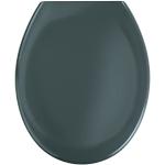 Wenko Sedile WC Premium Ottana Easy Close grigio,