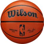 Articoli basket Wilson 