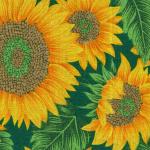 DecHome Tenda da sole da Esterno a Bracci Avvolgibile 180×70 cm colore  Verde - 6941