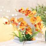 Vasi scontati arancioni di porcellana per orchidee diametro 42 cm 42 cm 