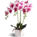 Vasi rosa in ceramica per orchidee diametro 43 cm 9 cm 